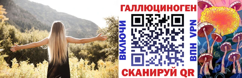 Галлюциногенные грибы Psilocybe  где купить наркотик  Ртищево 